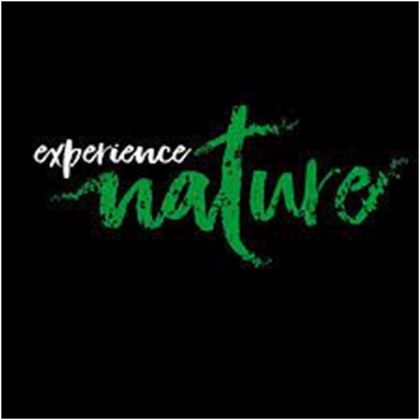 Experience-Nature